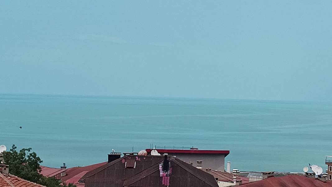 Değişim uydu fotoğraflarında: Suyu ısınan Karadeniz alarm veriyor 6